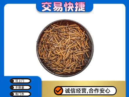 德令哈市高价回收散虫草