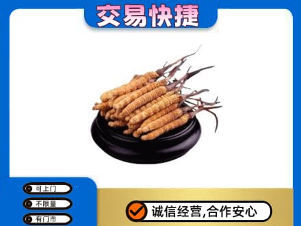 德令哈市回收冬虫夏草多少钱每克
